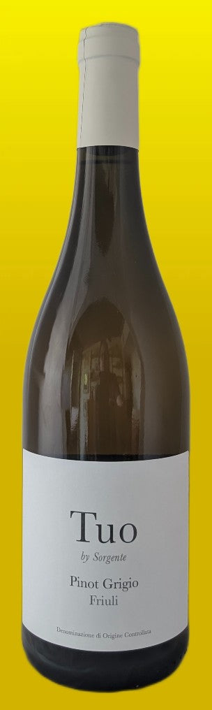Sorgente -- 2021 Tuo -- Pinot Grigio