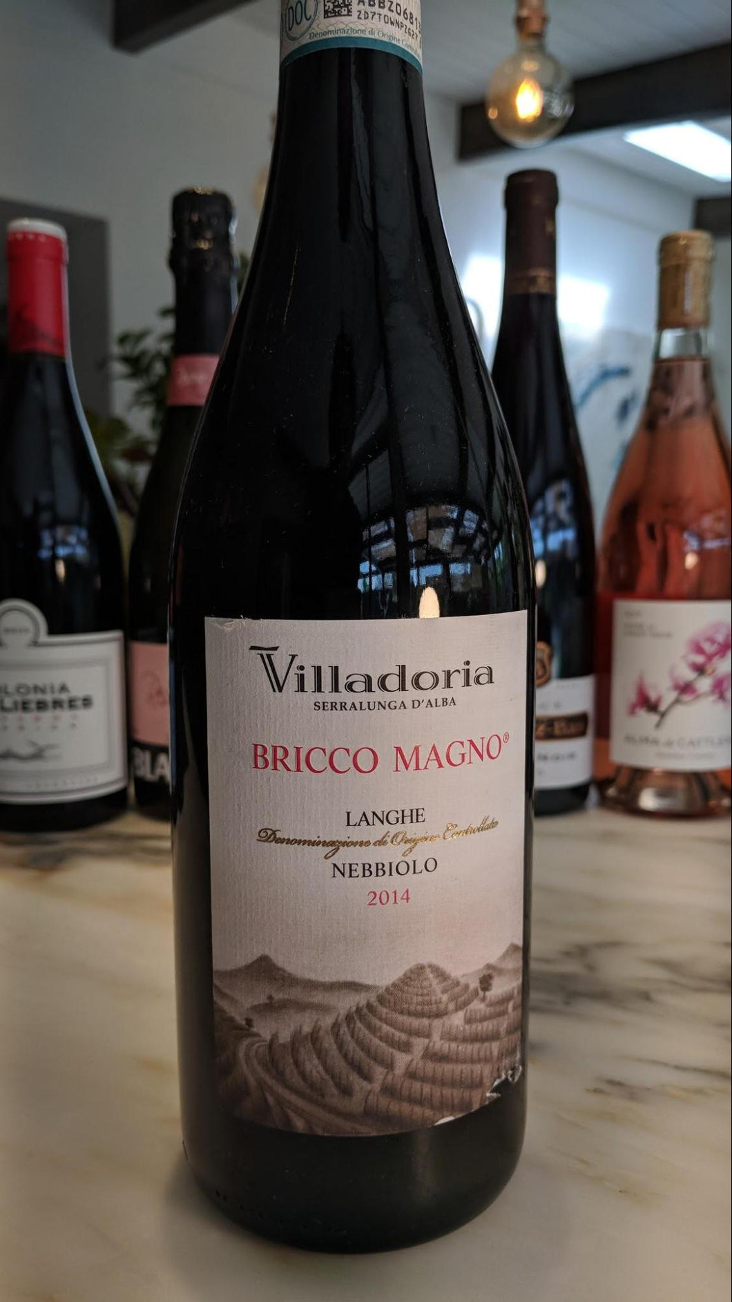 Villadoria	- 2014 Bricco Magno (Nebbiolo) -  Langhe, Piedmont, Italy